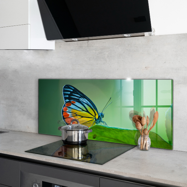 Foto achterwand keuken Vlinder die rust op een blad