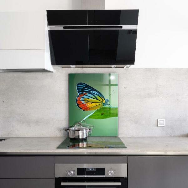 Foto achterwand keuken Vlinder die rust op een blad
