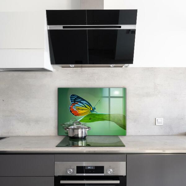 Foto achterwand keuken Vlinder die rust op een blad