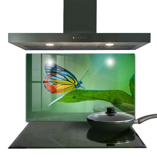 Foto achterwand keuken Vlinder die rust op een blad