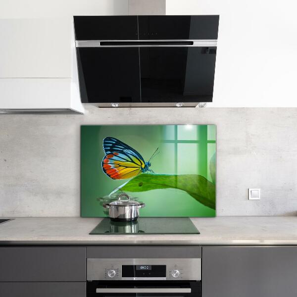 Foto achterwand keuken Vlinder die rust op een blad