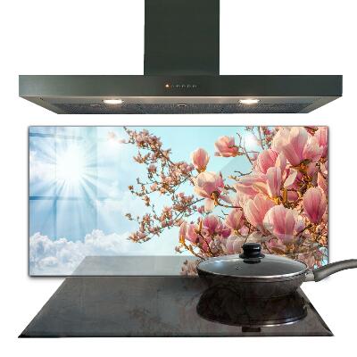 Foto achterwand keuken Bloeiende magnolia