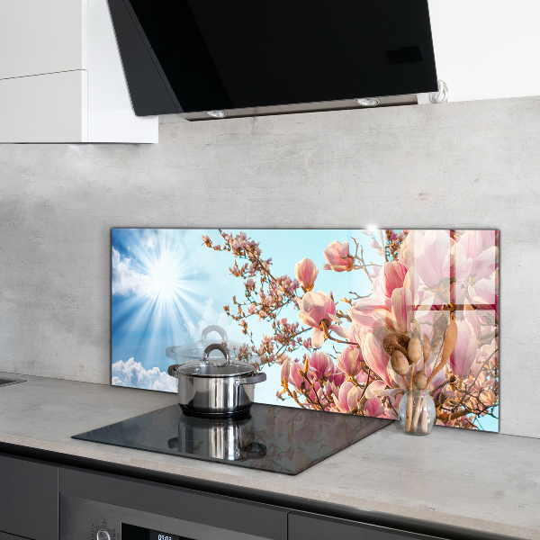 Foto achterwand keuken Bloeiende magnolia