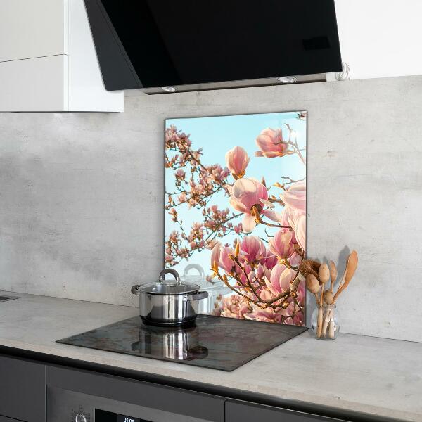 Foto achterwand keuken Bloeiende magnolia