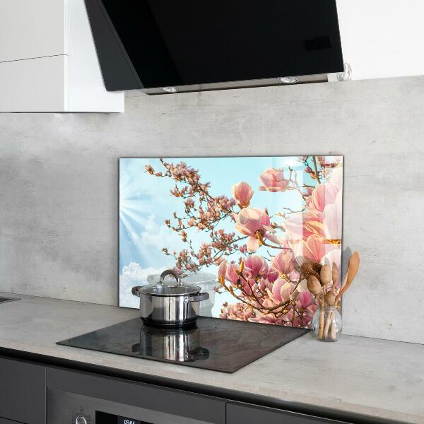 Foto achterwand keuken Bloeiende magnolia