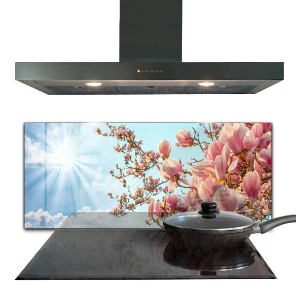 Foto achterwand keuken Bloeiende magnolia