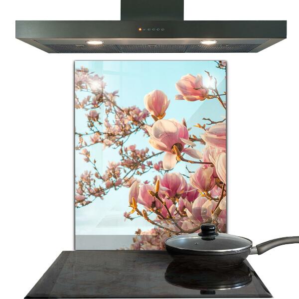 Foto achterwand keuken Bloeiende magnolia