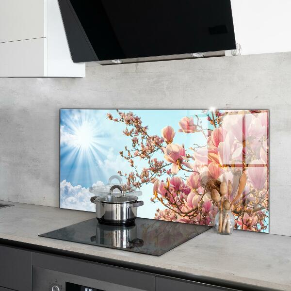 Foto achterwand keuken Bloeiende magnolia