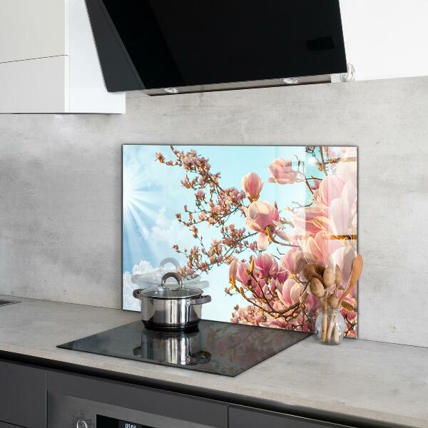 Foto achterwand keuken Bloeiende magnolia